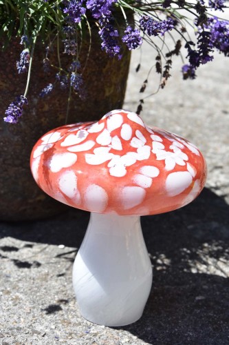 DSC_0910.jpg