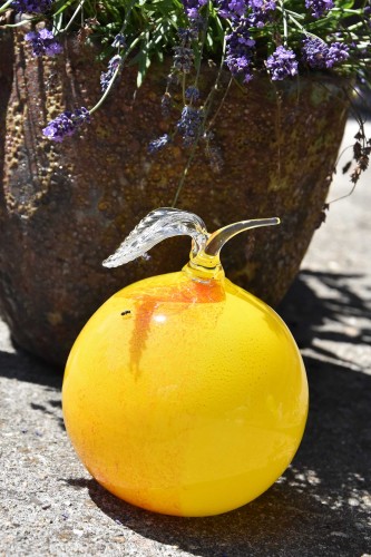 DSC_0903.jpg